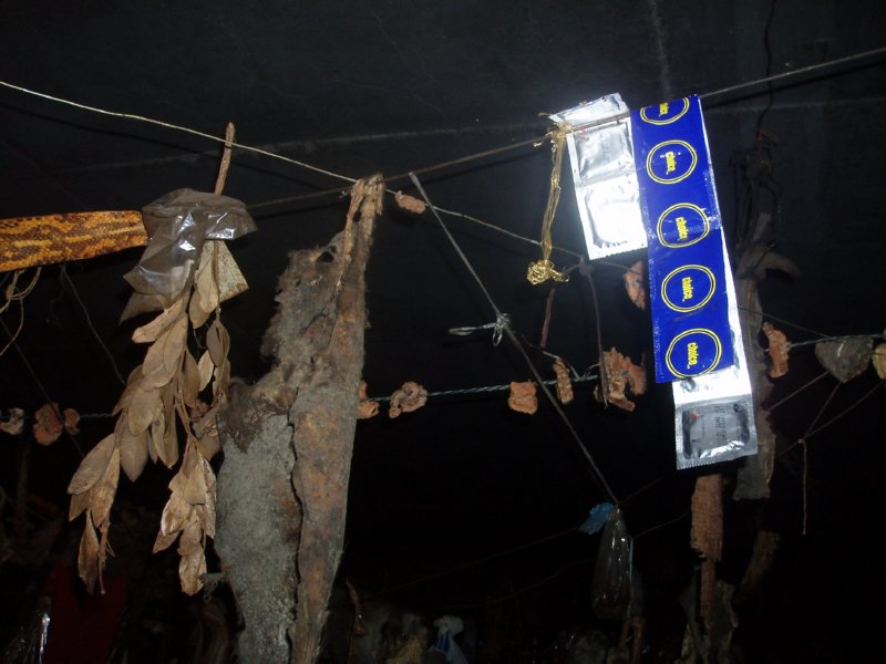 KeHa_in_South_Africa - 115